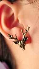 Load image into Gallery viewer, Earrings : Mellifluous
